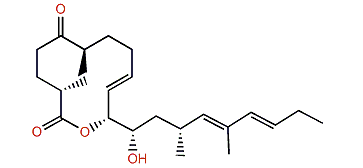 Amphidinolide W